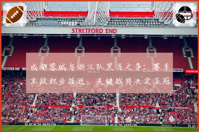 成都蓉城与浙江队黑马之争：赛季末段积分接近，关键战将决定亚冠席位