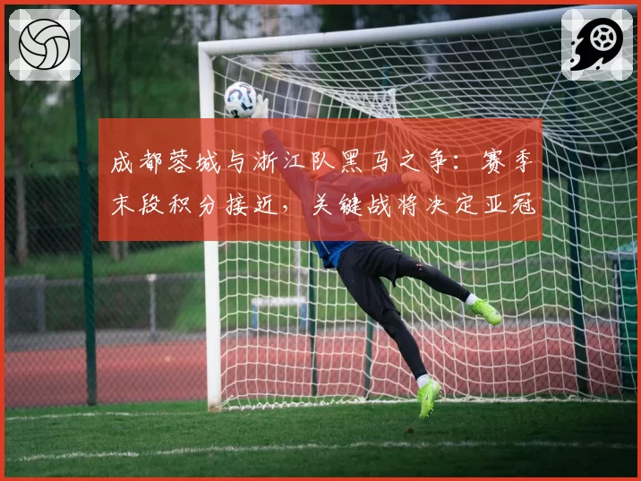 成都蓉城与浙江队黑马之争：赛季末段积分接近，关键战将决定亚冠席位